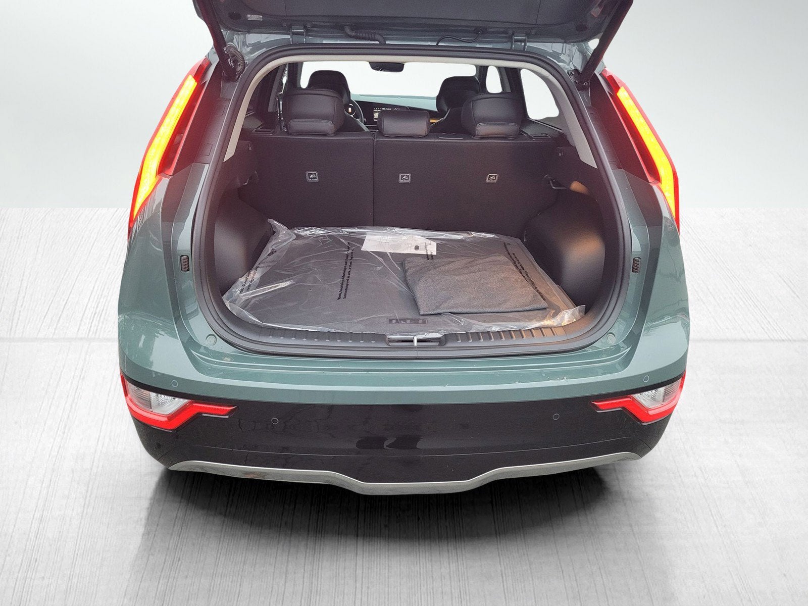 2025 Kia NIRO EV WIND