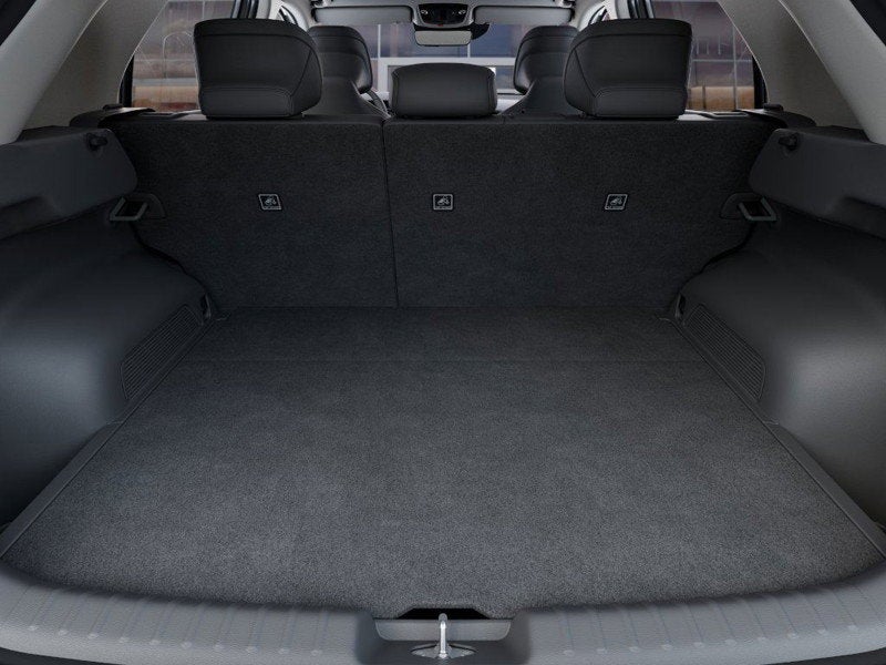 2025 Kia NIRO EV WAVE