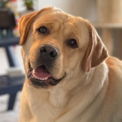 Wind Change & Val Ter